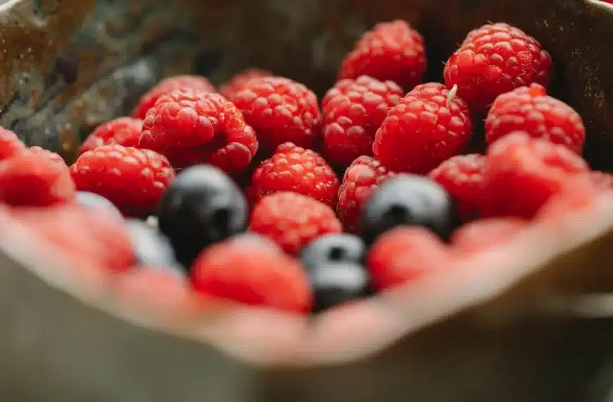 Descubre los 10 mejores antioxidantes naturales para una vida saludable